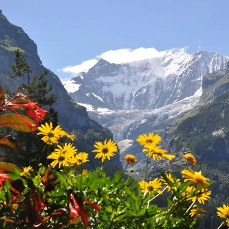 Gletschergarten Hotel 3*