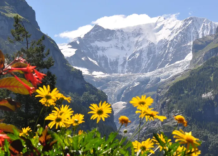 Gletschergarten Hotel 3*