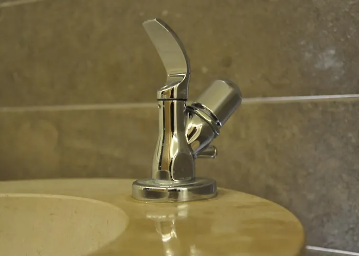 Gletschergarten 3* גרינדלוולד