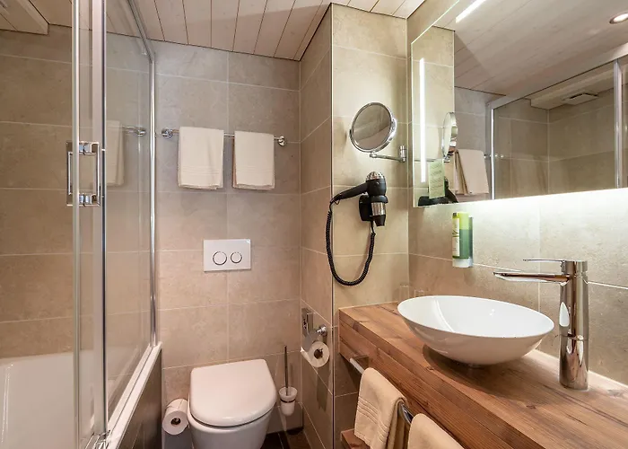 Gletschergarten 3* גרינדלוולד